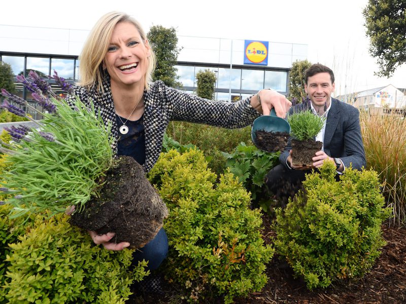 Lidl Ireland Boosts Biodiversity with Roll Out of 20 Pollinator-Friendly Stores Across Ireland by End of 2021