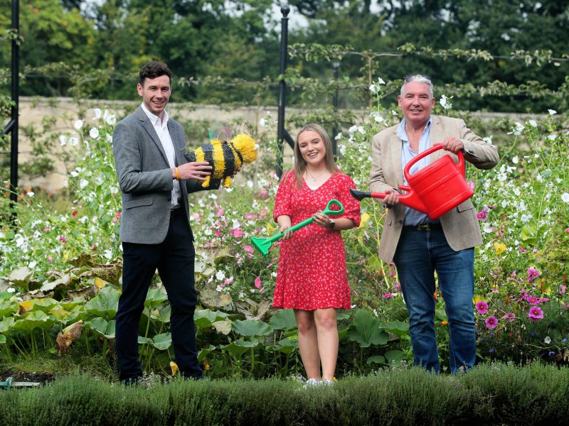 Lidl supporting Gaisce Award’s #BulbsForBees nationwide pollination campaign!